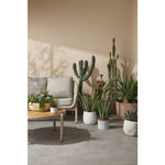 Load image into Gallery viewer, Grand Designs Elwood Outdoor Coffee Table 2-Piece Set – Natural
