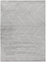 Load image into Gallery viewer, Bovie Dual Pile Rug - Silver
