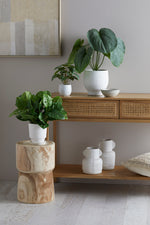 Load image into Gallery viewer, Eritrea 2 Drawer Timber Console Table - Natural
