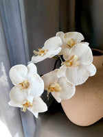 Load image into Gallery viewer, Orchid Phalaenopsis Infused 86cm Artificial Plant - Dove
