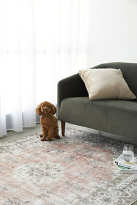 Larisa Washable Rug - Peach