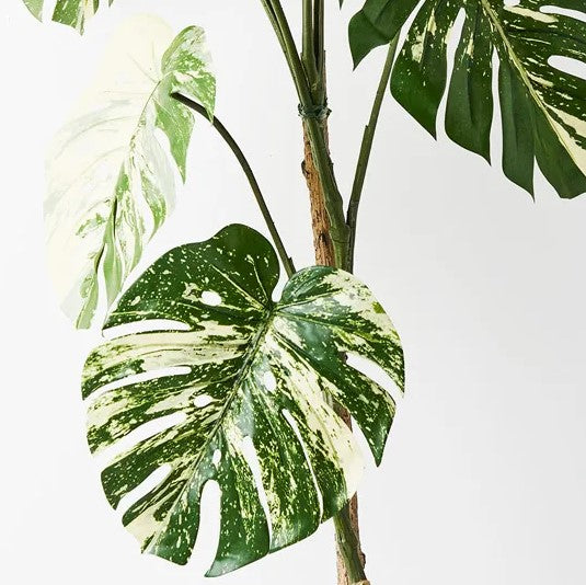 Monstera Vine 120cm Artificial Plant