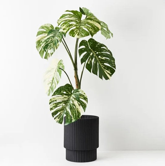Monstera Vine 120cm Artificial Plant