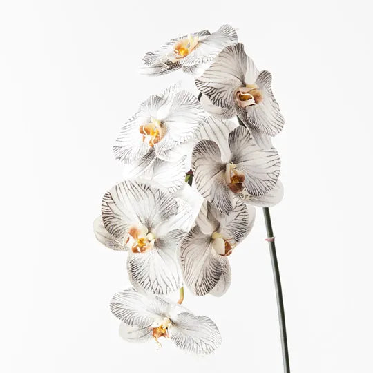 Orchid Phalaenopsis Infused 96cm Artificial Plant - White Black
