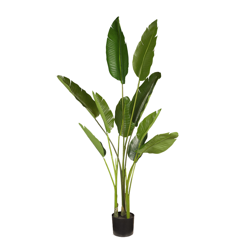 Palm Traveller Bird Of Paradise 153cm Artificial Plant