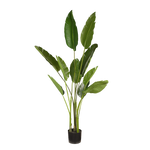 Load image into Gallery viewer, Palm Traveller Bird Of Paradise 153cm Artificial Plant
