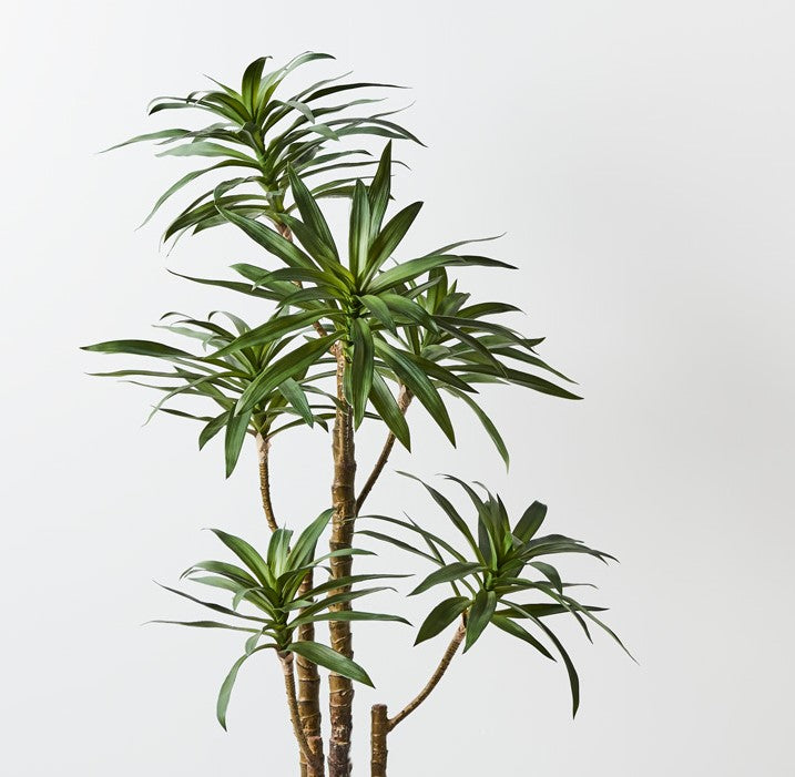Yucca 122cm Artificial Plant
